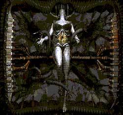 Cerebrum (PL) : Lunatic